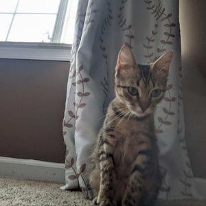 Meet your Posher, Zoey